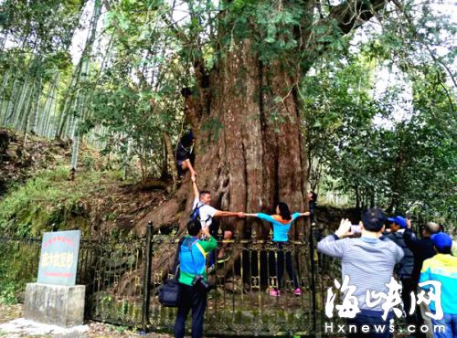 Dl(f)F(xin)ȫҰtɼλ˷ܭh(hun)