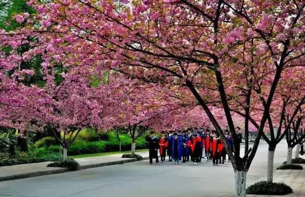 ���\�C����ӭ�����¡�������ʲô�ɫ����