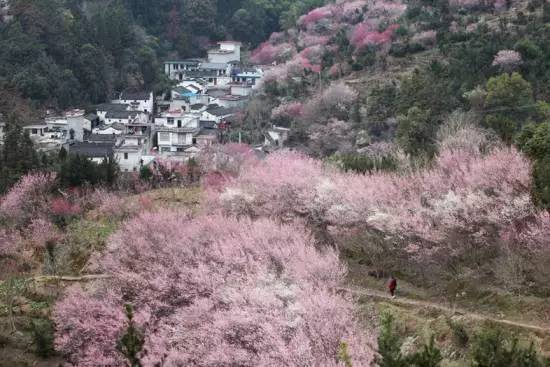 ���\�C����ӭ�����¡�������ʲô�ɫ����