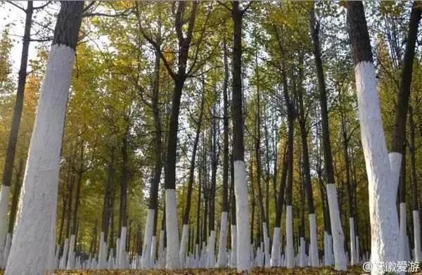 ���\�C����ӭ�����¡�������ʲô�ɫ����