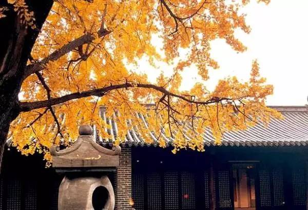 ���\�C����ӭ�����¡�������ʲô�ɫ����