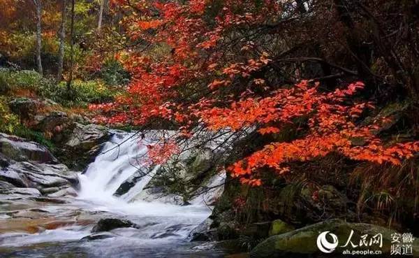 ���\�C����ӭ�����¡�������ʲô�ɫ����