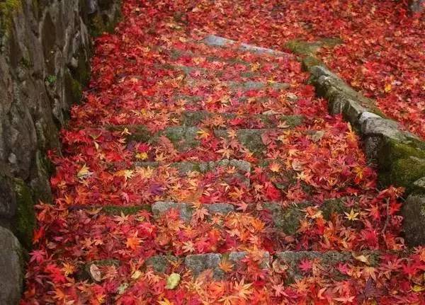 ���\�C����ӭ�����¡�������ʲô�ɫ����