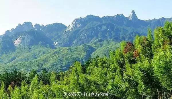 ���\�C����ӭ�����¡�������ʲô�ɫ����