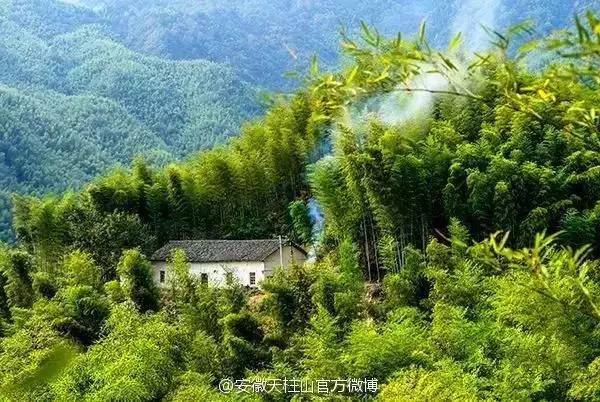 ���\�C����ӭ�����¡�������ʲô�ɫ�ģ�