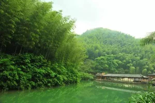 ���\�C����ӭ�����¡�������ʲô�ɫ����