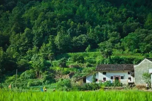 ���\�C����ӭ�����¡�������ʲô�ɫ����