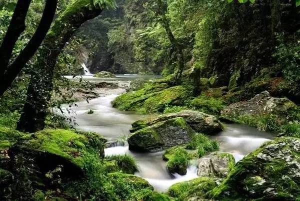 ���\�C����ӭ�����¡�������ʲô�ɫ����