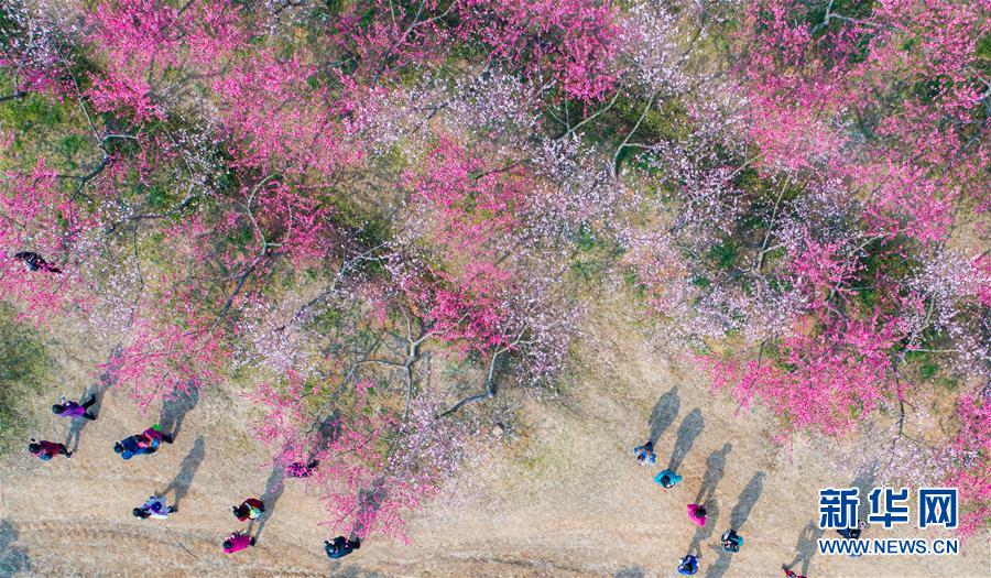 ��ʮ���һ��������L