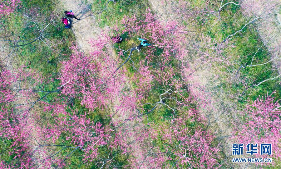 ��ʮ���һ��������L