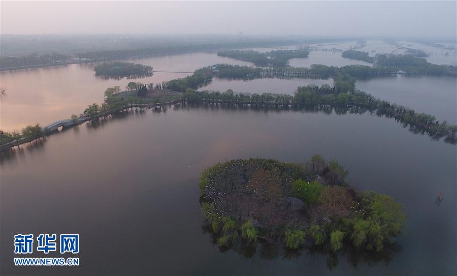 ���ջ���ˮ�T�� ǧ��ˮ���f핲�