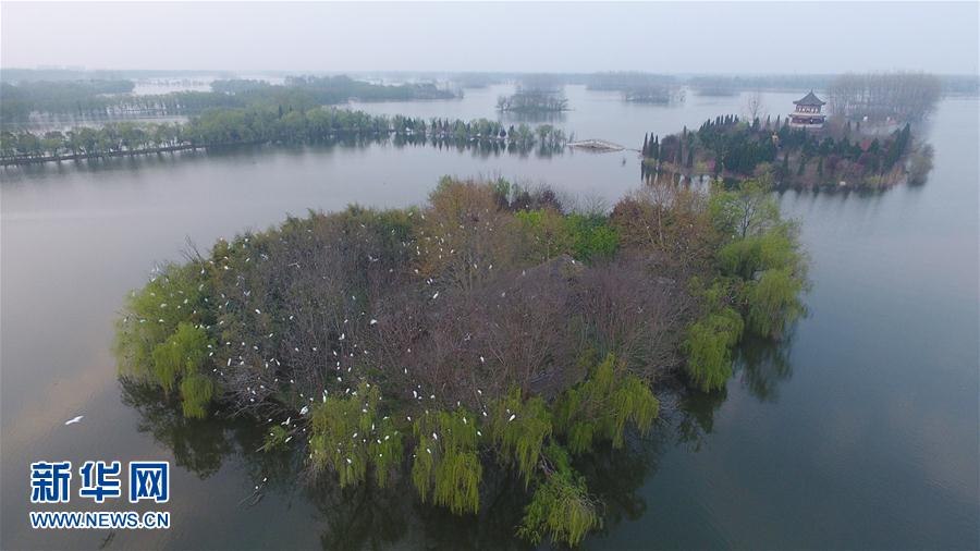 ���ջ���ˮ�T�� ǧ��ˮ���f핲�