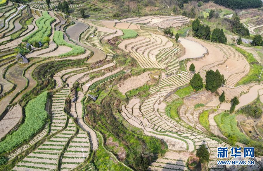 (新華視界)(1)山鄉(xiāng)春景