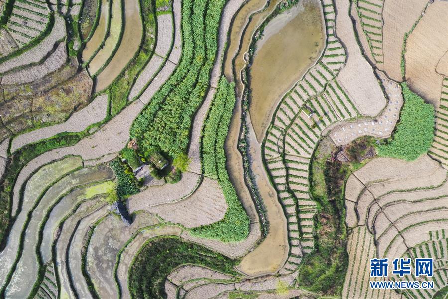 (新華視界)(2)山鄉(xiāng)春景