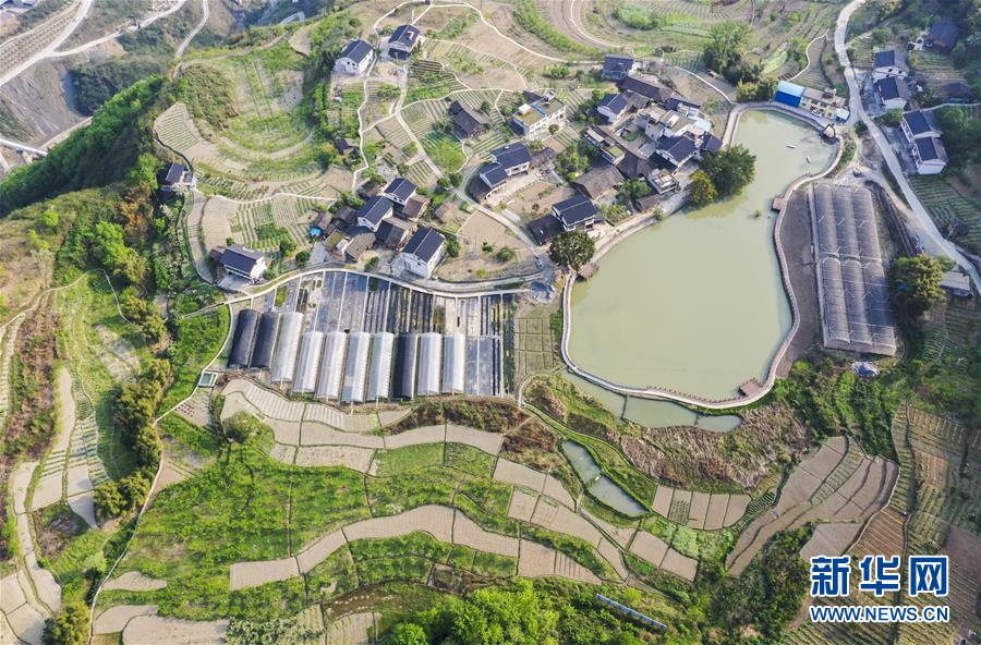 (新華視界)(4)山鄉(xiāng)春景