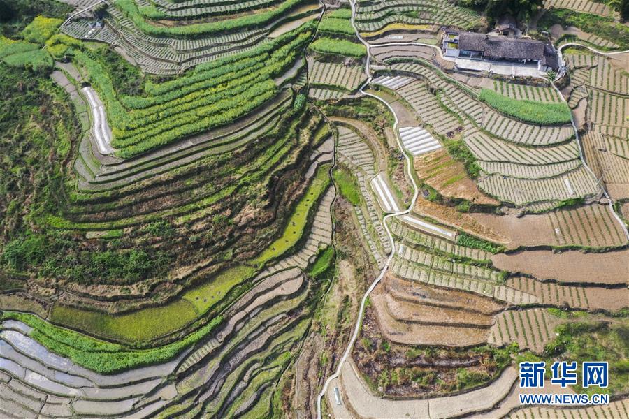 (新華視界)(5)山鄉(xiāng)春景