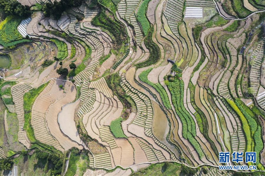 (新華視界)(6)山鄉(xiāng)春景