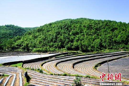 �v����ӛ���a(ch��n)�I(y��)���¡���ؚ�a(ch��n)�I(y��)�l(f��)չ�ġ����ʷ��ս�(j��ng)��