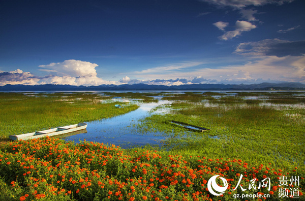 �F�ݲݺ��C��������Ч���@��