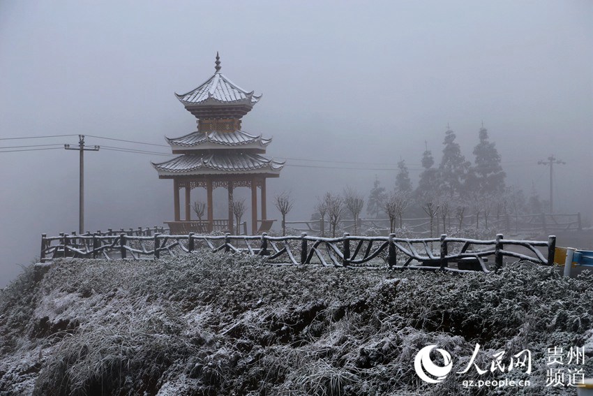 �D��������w�ě�ͤ��