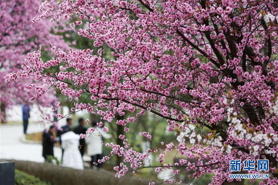 #���������21���p��̤�������r