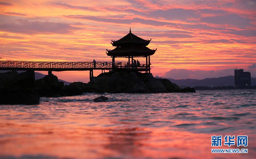 #���������4��������ϼ��