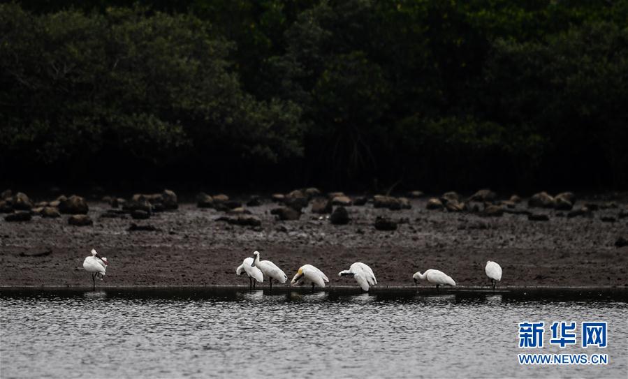 ���h(hu��n)������3���紺�����w