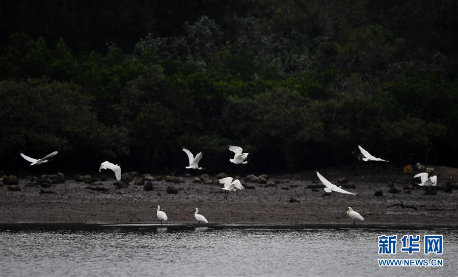 �����Aҕ�磩��2���紺�����w