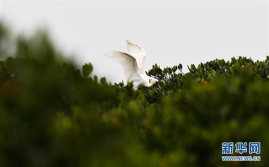 �����Aҕ�磩��3���紺�����w