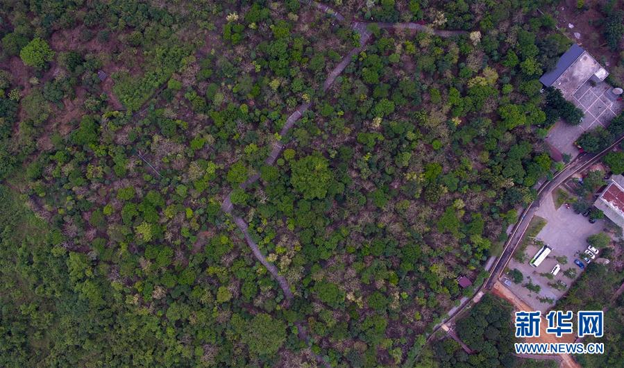 ���������3������ʩ�裺��ɫ�a(ch��n)�I(y��)������