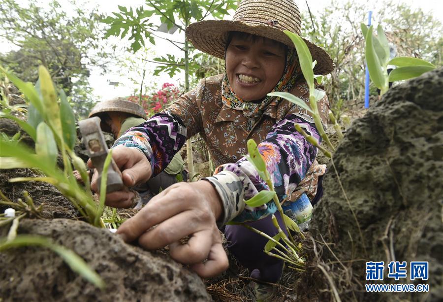 ���������4������ʩ�裺��ɫ�a(ch��n)�I(y��)������