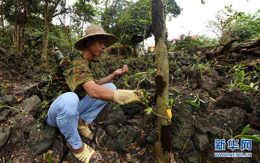 ���������5������ʩ�裺��ɫ�a(ch��n)�I(y��)������