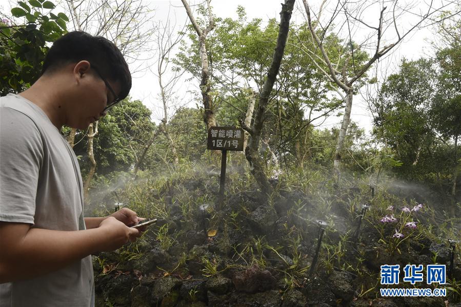 ���������6������ʩ�裺��ɫ�a(ch��n)�I(y��)������