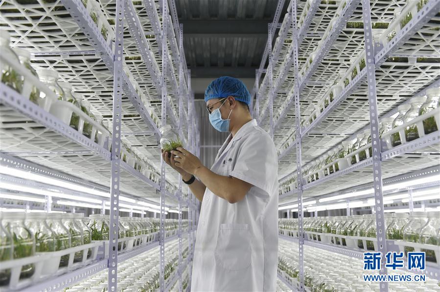 ���������7������ʩ�裺��ɫ�a(ch��n)�I(y��)������