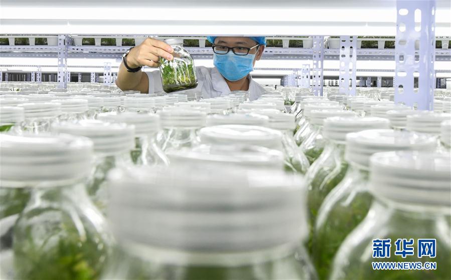 ���������8������ʩ�裺��ɫ�a(ch��n)�I(y��)������