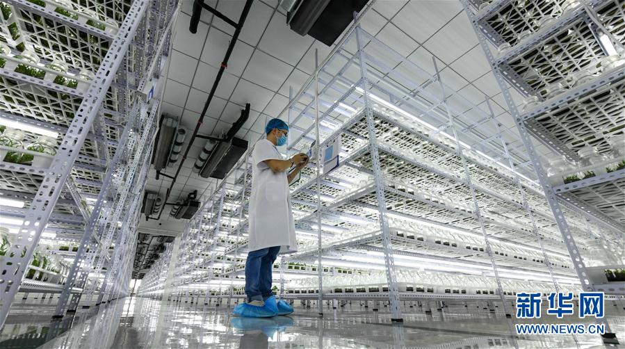 ���������9������ʩ�裺��ɫ�a(ch��n)�I(y��)������