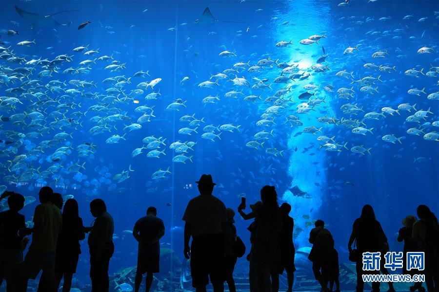 (經(jīng)濟(jì))(2)海南:發(fā)展全域旅游 打造海島度假勝地 (經(jīng)濟(jì))(2)海南:發(fā)展全域旅游 打造海島度假勝地