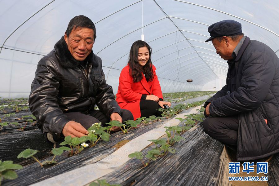 河南民權(quán):建立脫貧攻堅(jiān)新模式 河南民權(quán):建立脫貧攻堅(jiān)新模式