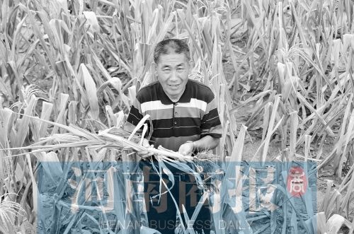 ������Z�غ�863�f�� ��Ͷ��15.2�|��������