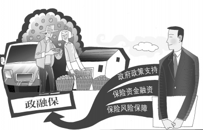 河南省首批“險資支農(nóng)融資”項目落地盧氏