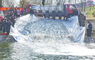 漯河開展?jié)O業(yè)資源增殖放流活動(dòng) 10萬(wàn)尾魚苗沙河“安家”