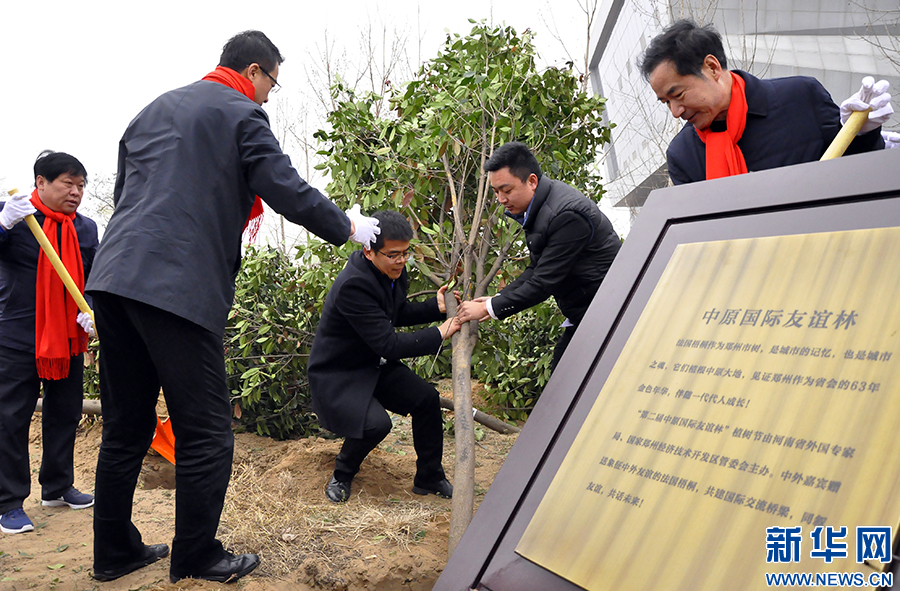 �ڶ�����ԭ���H���x��ֲ�九(ji��)�e��