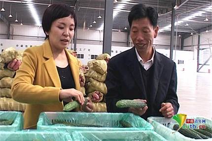 ���ܿ����f���@�����L�S�����ƽ鱾��o�����߲�_����