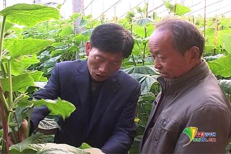 ����ؚ�����l(f��)չ�߲����a(ch��n)_����