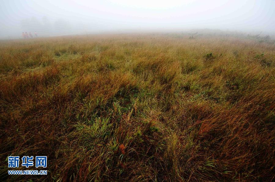 (�����Ї�)(3)���F���@�P��ɽ