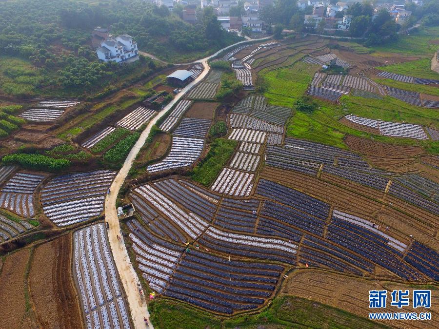 #(�r�I(y��))(2)˪���r��(ji��)��Næ