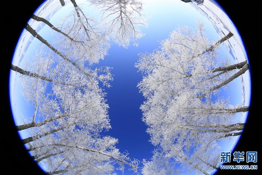 #(ҕ���X(ju��))(1)�½����N(y��n)�h���Fڡ����