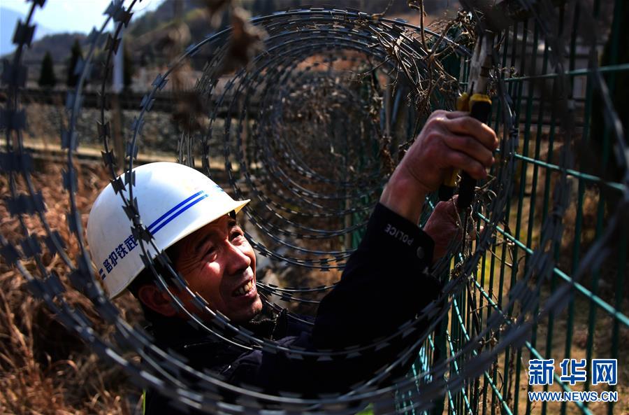 (�P(gu��n)ע���\)(3)��ɽ������o