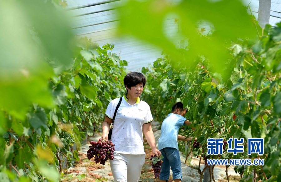 ��������:��������,�ο͘���