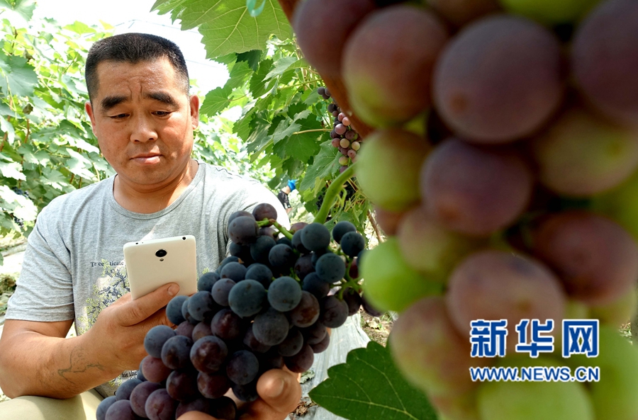 ��������:��������,�ο͘���